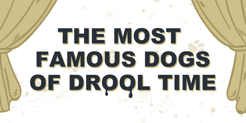 THE MOST FAMOUS DOGS OF DROOL TIME INFOGRAPHIC INTRO
