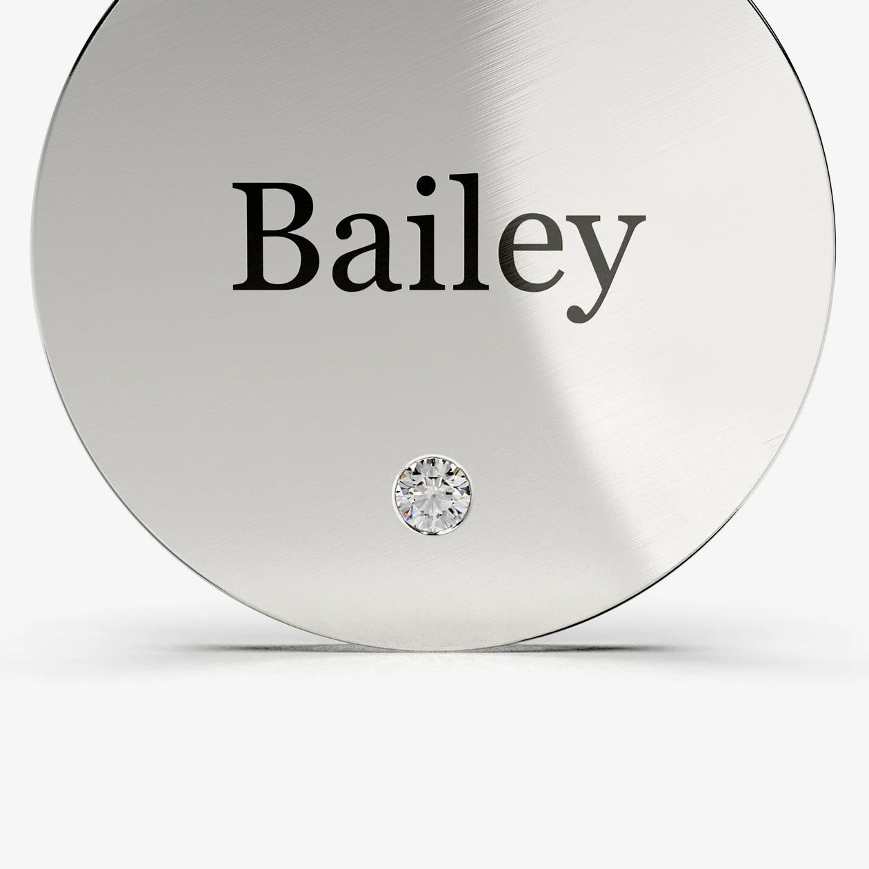 STAINLESS STEEL CLASSIC ROUND PET NAME TAG FEATURED