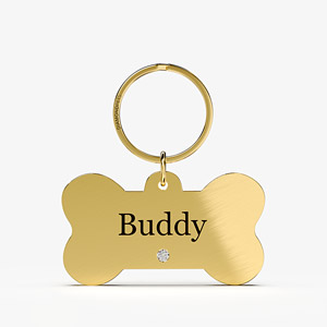 Brass Pet Name Tag Zoomed