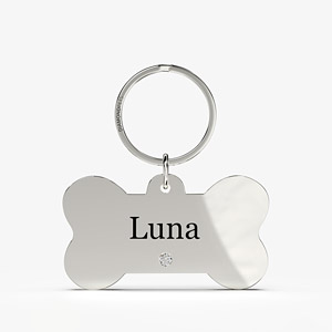 Stainless Steel Pet Name Tag Zoomed