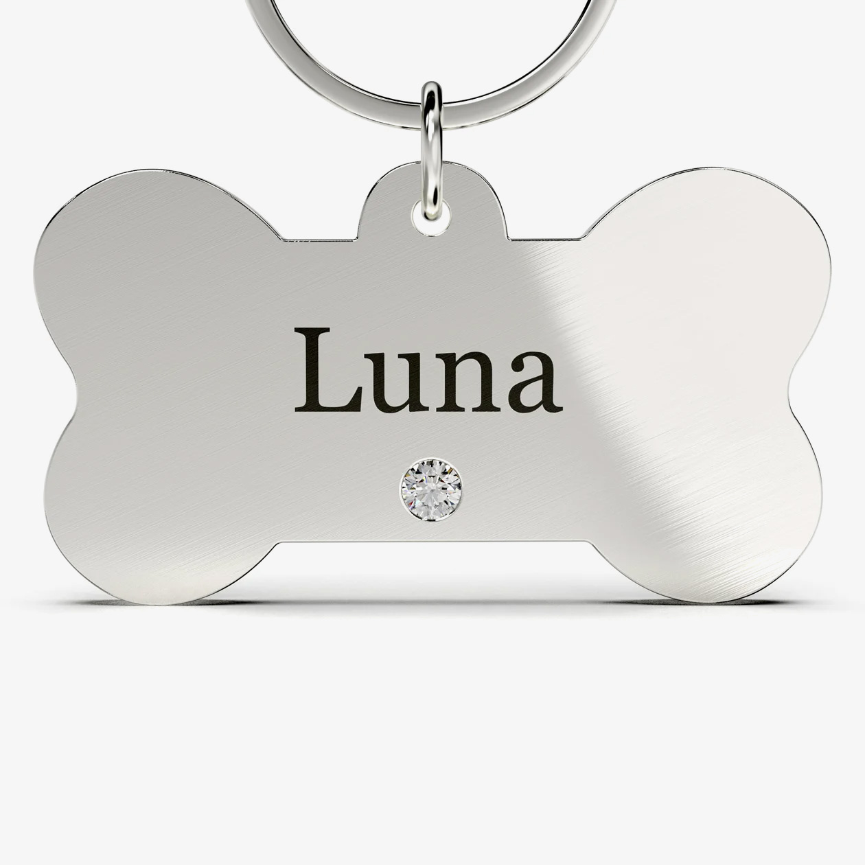 STAINLESS POSH POOCH PET NAME TAG FEATURED